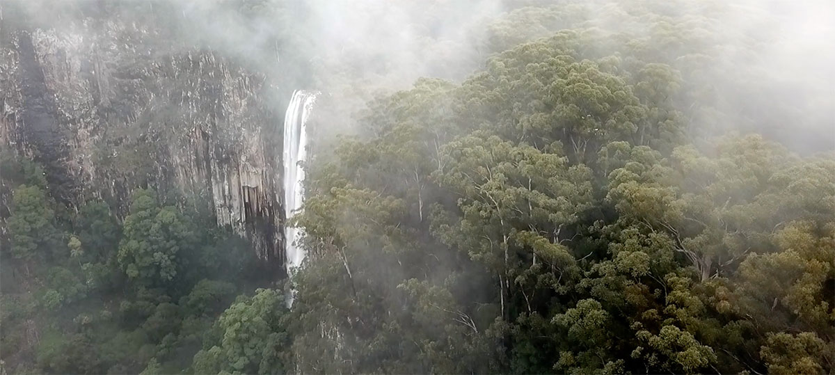 Environmental trust Restoration and rehabilitation